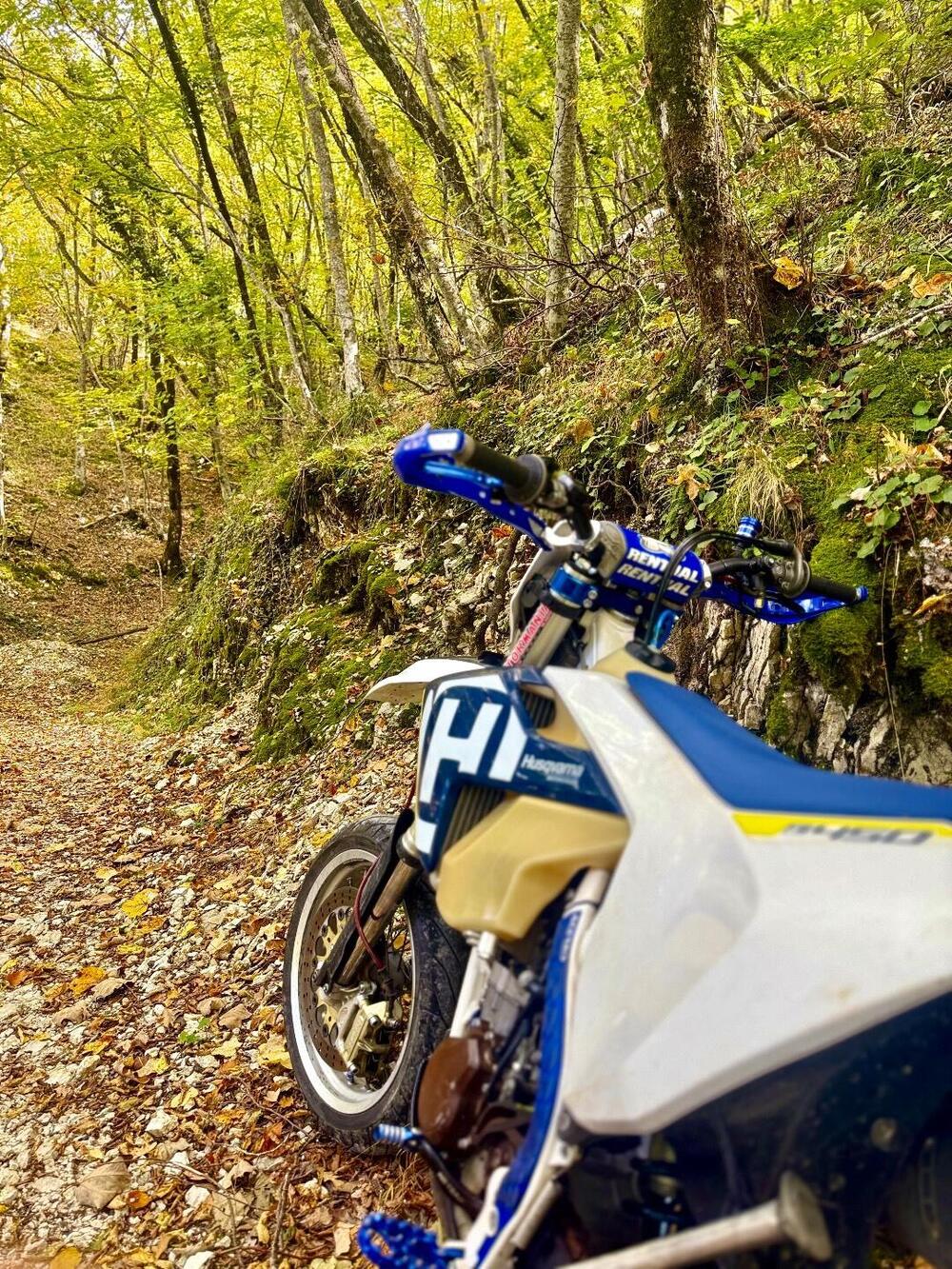 Husqvarna FE 450 (2018) (4)