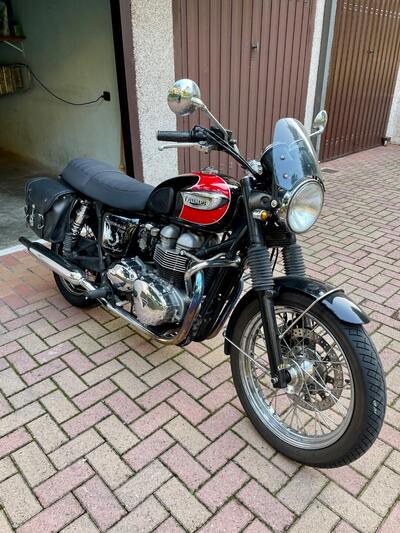 Triumph Bonneville T100 (2001 - 07) usata