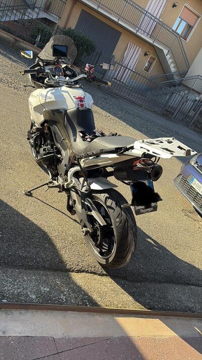 Triumph Tiger 1050 (2006 - 12) usata