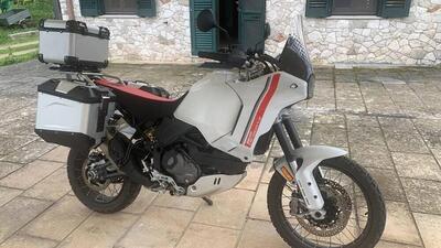 Ducati DesertX (2022 - 25) usata