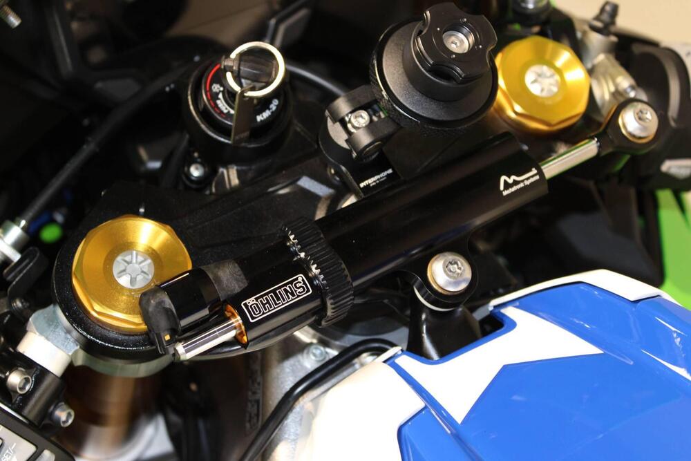 Kawasaki Ninja 1000 ZX-10R 40th Anniversary Edition (2024) (7)