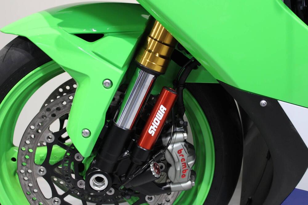 Kawasaki Ninja 1000 ZX-10R 40th Anniversary Edition (2024) (8)