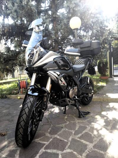 QJ Motor SRT 600 SX (2024 - 25) usata