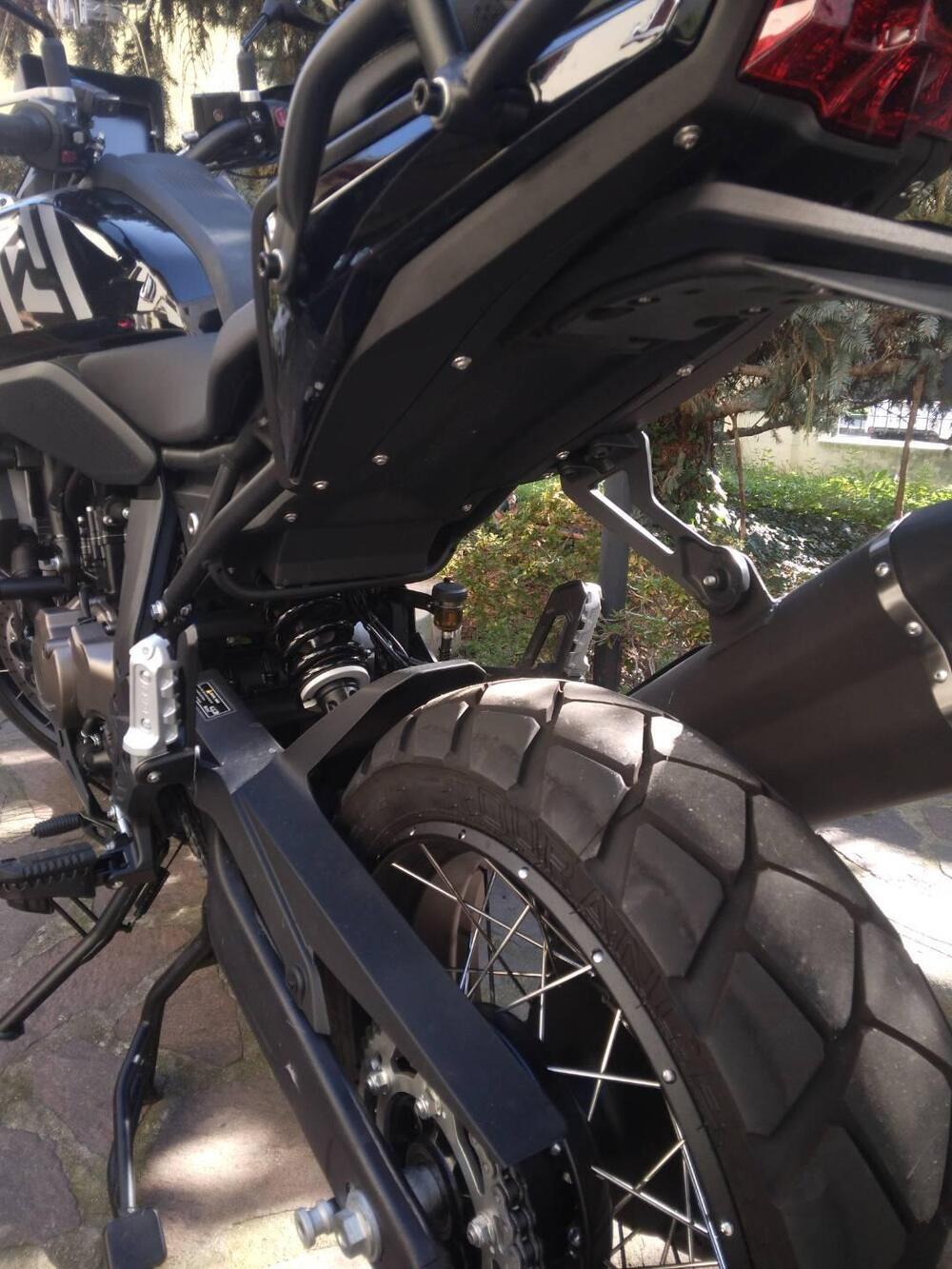 QJ Motor SRT 600 SX (2024 - 26) (12)