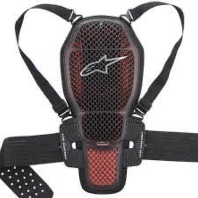 Para schiena alpinestars