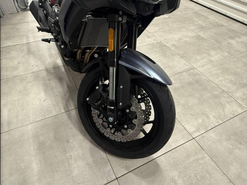 Cyclone RX650 (2025 - 26) (9)