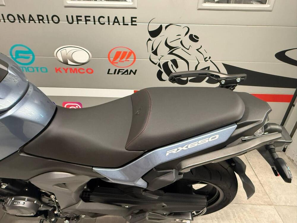 Cyclone RX650 (2025 - 26) (12)