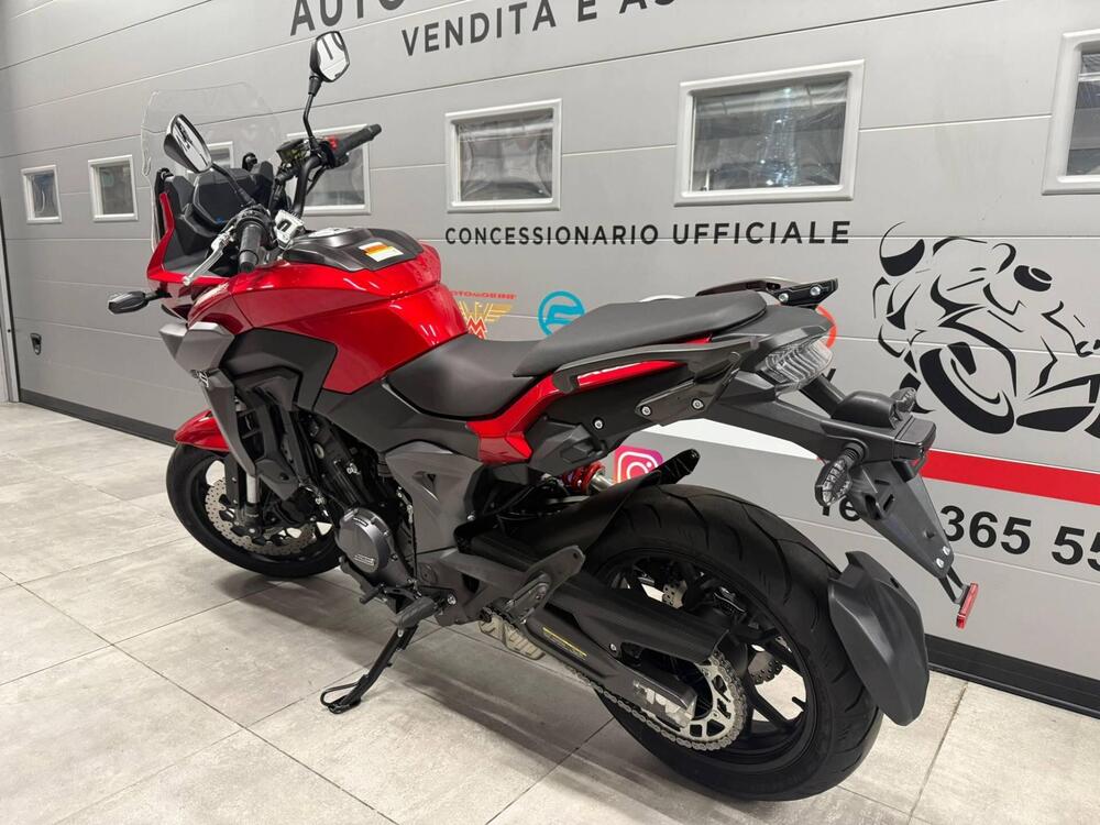 Cyclone RX650 (2025 - 26) (4)