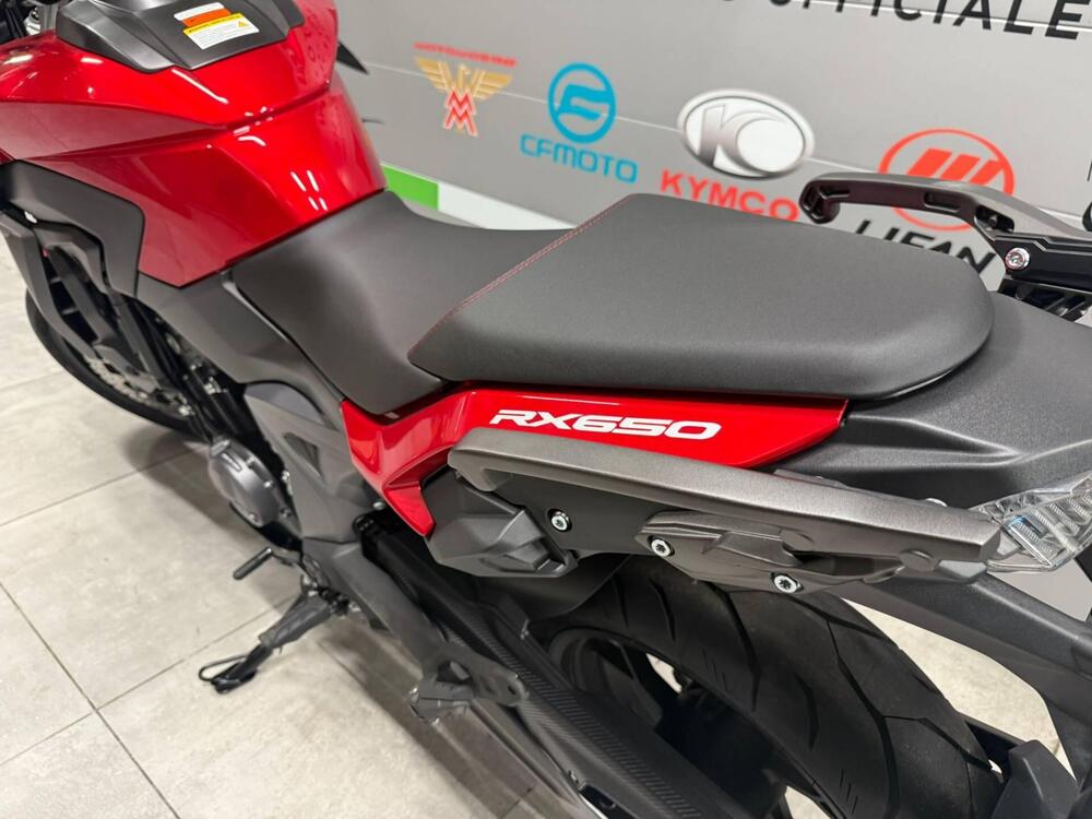 Cyclone RX650 (2025 - 26) (12)