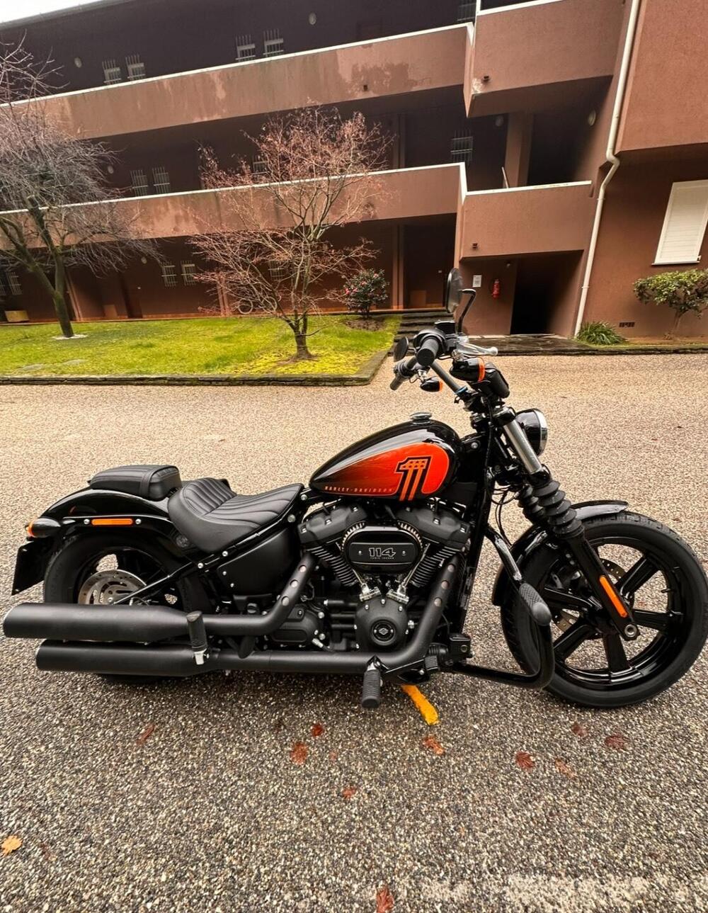 Harley-Davidson Street Bob 114 (2021 - 24) (3)