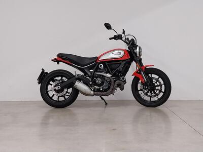 Ducati Scrambler 800 Icon (2017 - 20) usata