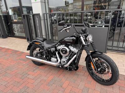 Harley-Davidson Street Bob 117 (2025) usata