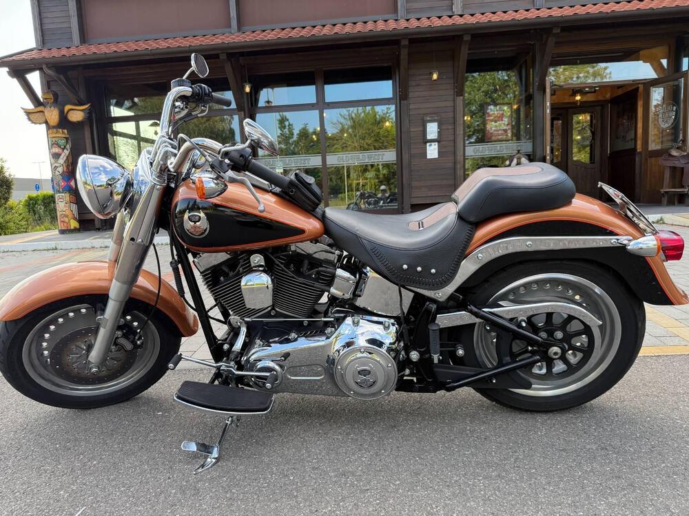 Harley-Davidson 1584 Fat Boy (2008 - 10) - FLSTF (5)