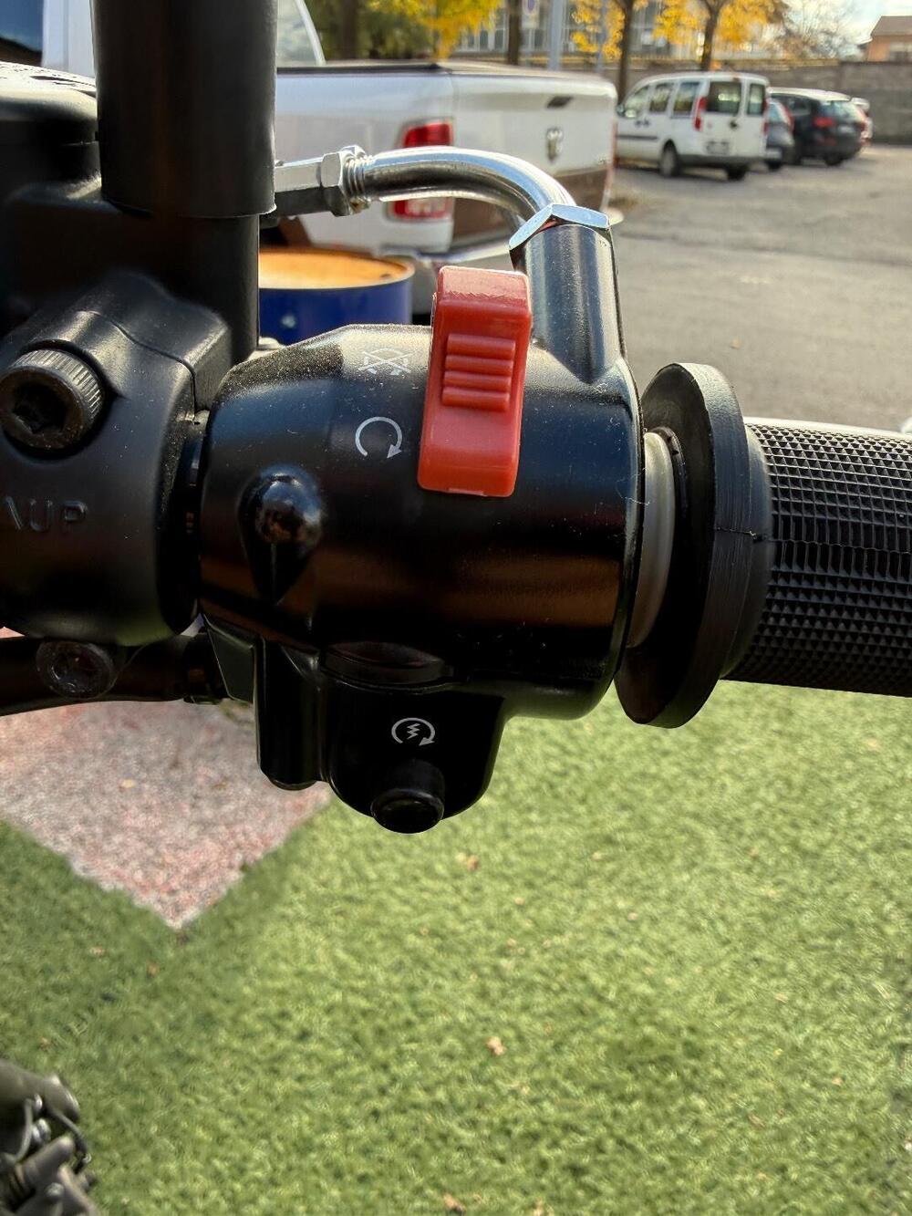 Kawasaki W 800 (2020) (17)