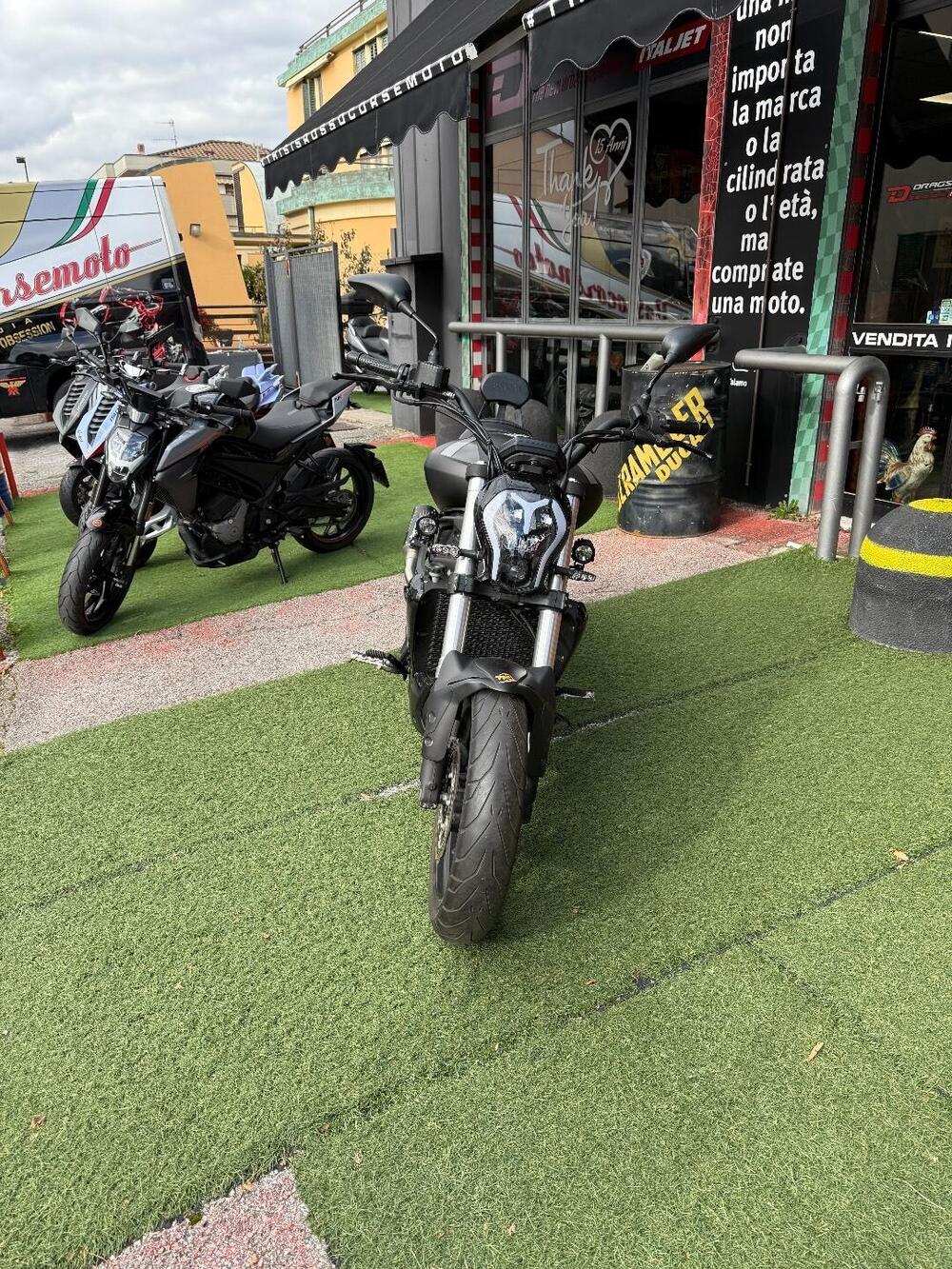 Benelli 502 C (2021 - 25) (3)