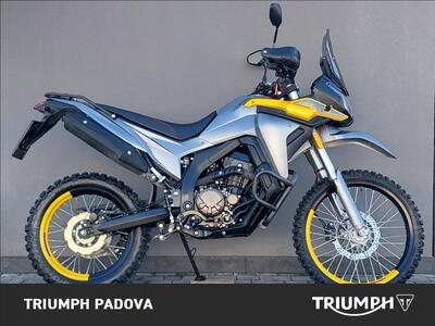 Voge Valico 300 Rally (2022 - 25) usata