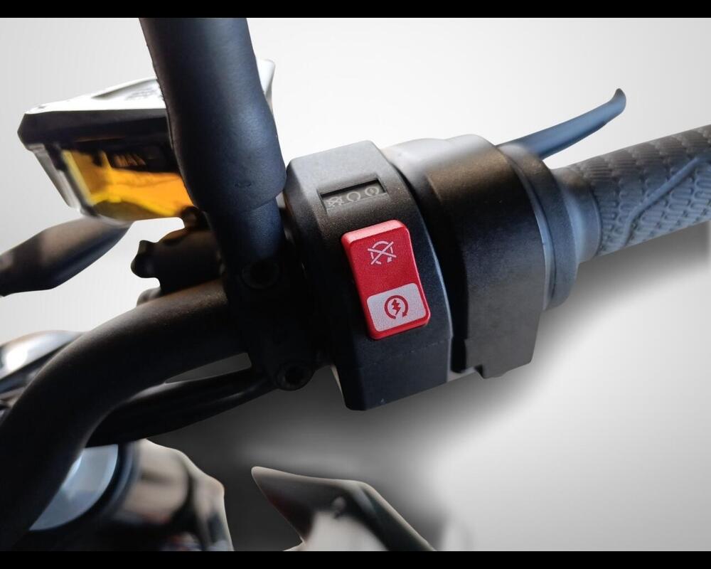 KTM 790 Duke (2018 - 20) (10)