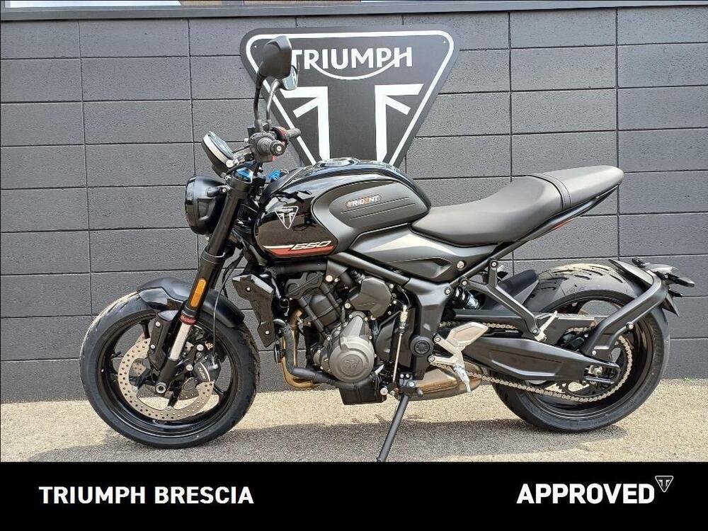 Triumph Trident 660 (2025) (12)