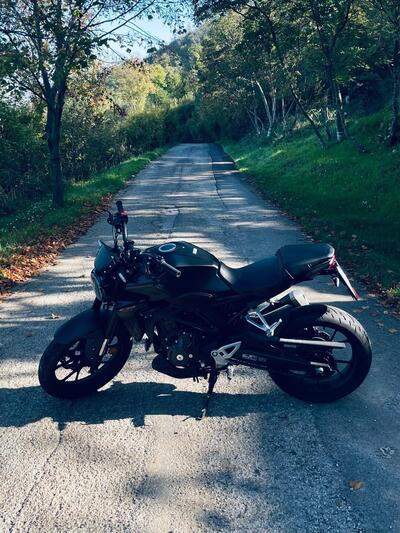 Honda CB 300 R (2022 - 25) usata