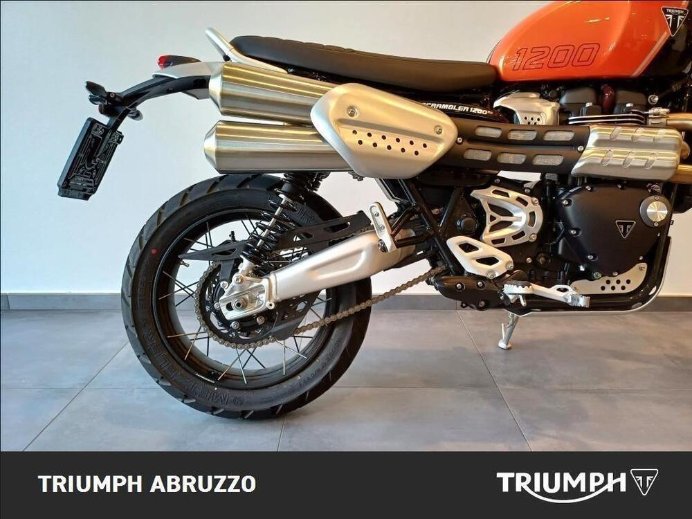 Triumph Scrambler 1200 XE (2024 - 25) (6)