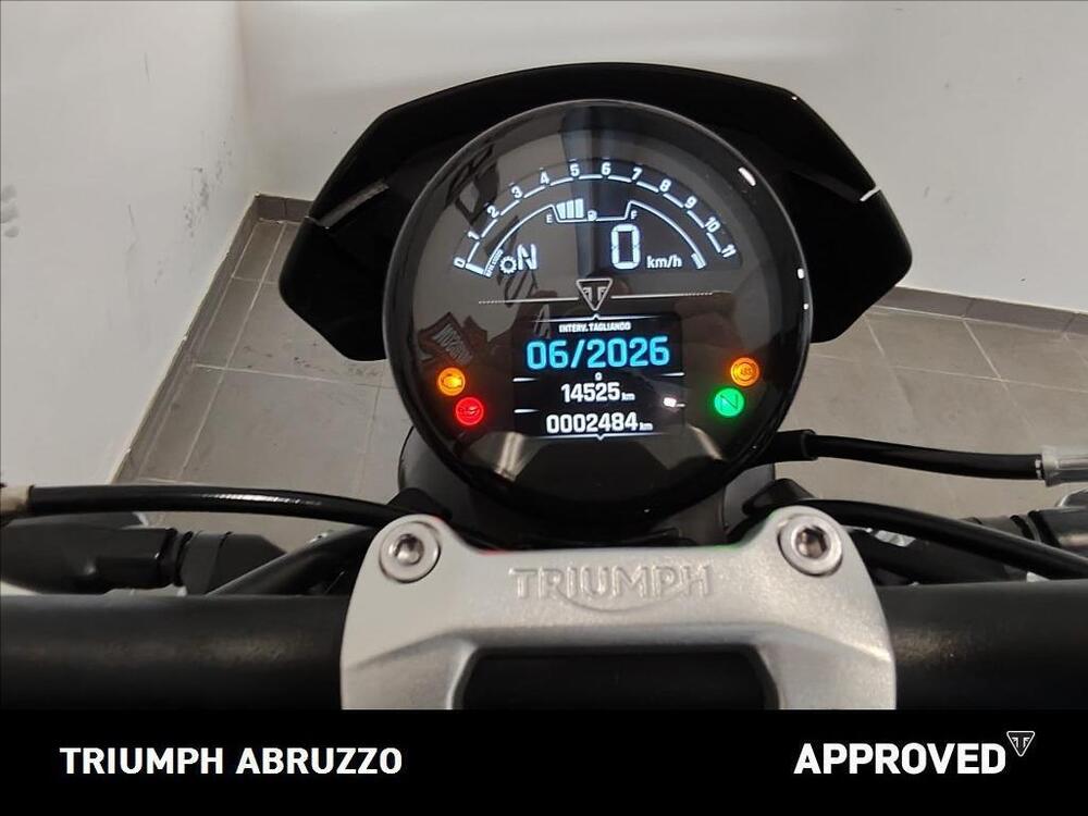 Triumph Trident 660 Triple Tribute Edition (2025 - 26) (2)