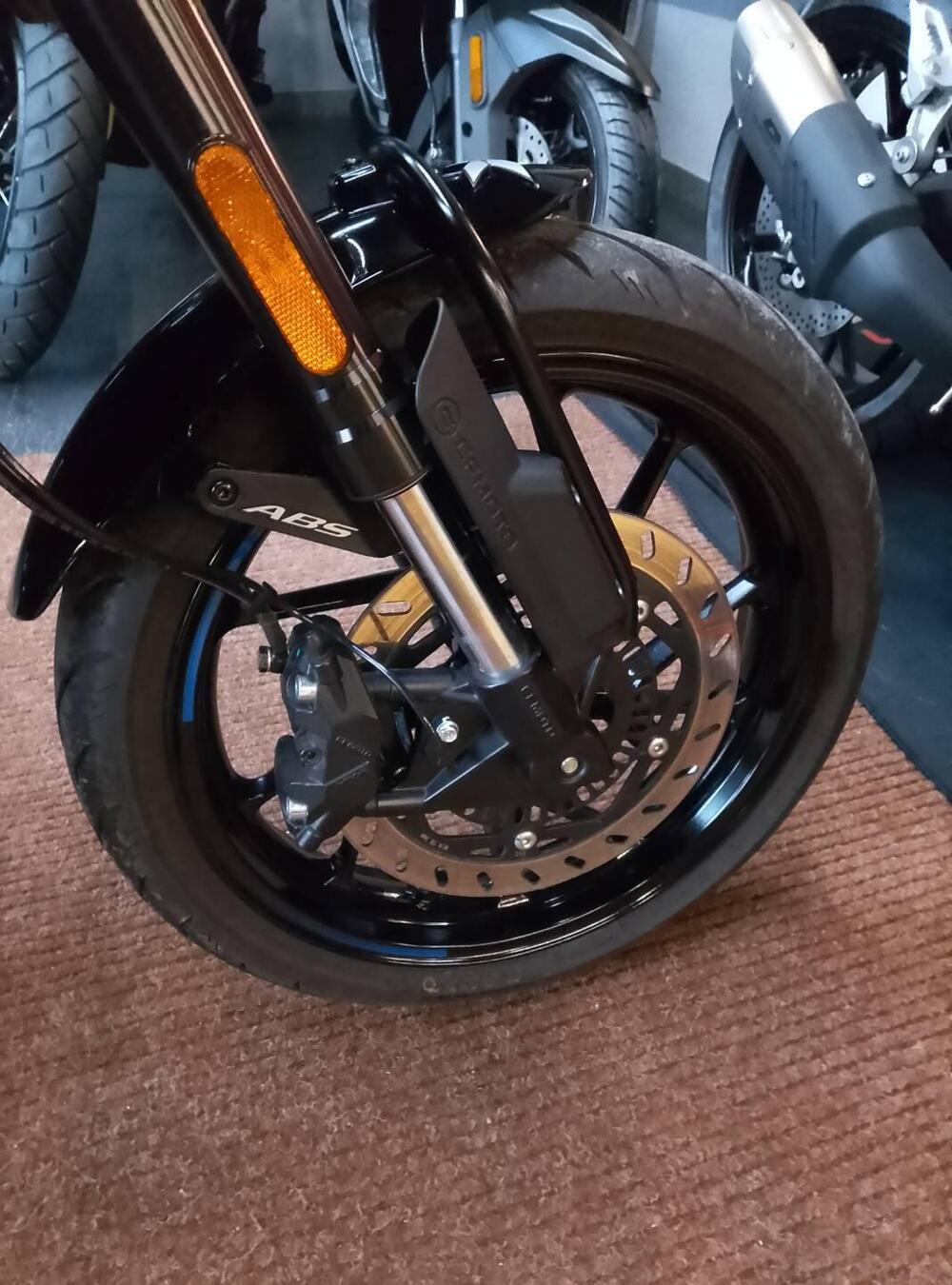 CFMOTO 300CL-X Heritage (2023 - 26) (9)