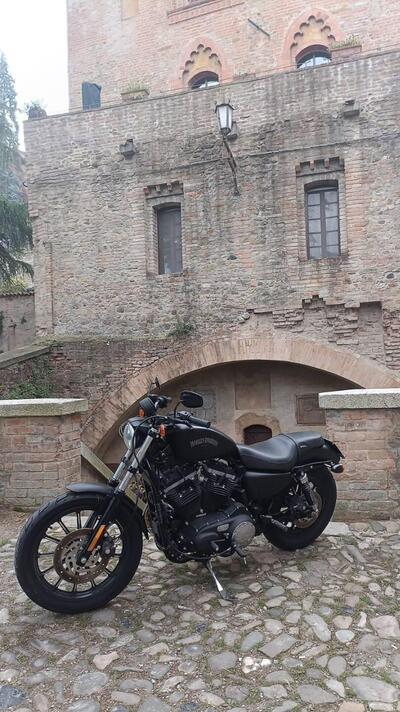 Harley-Davidson 883 Iron (2012 - 14) - XL 883N usata