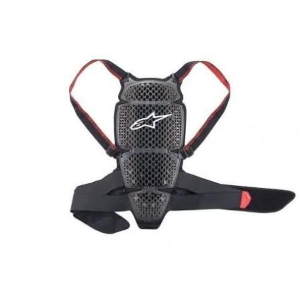 Para schiena alpinestars