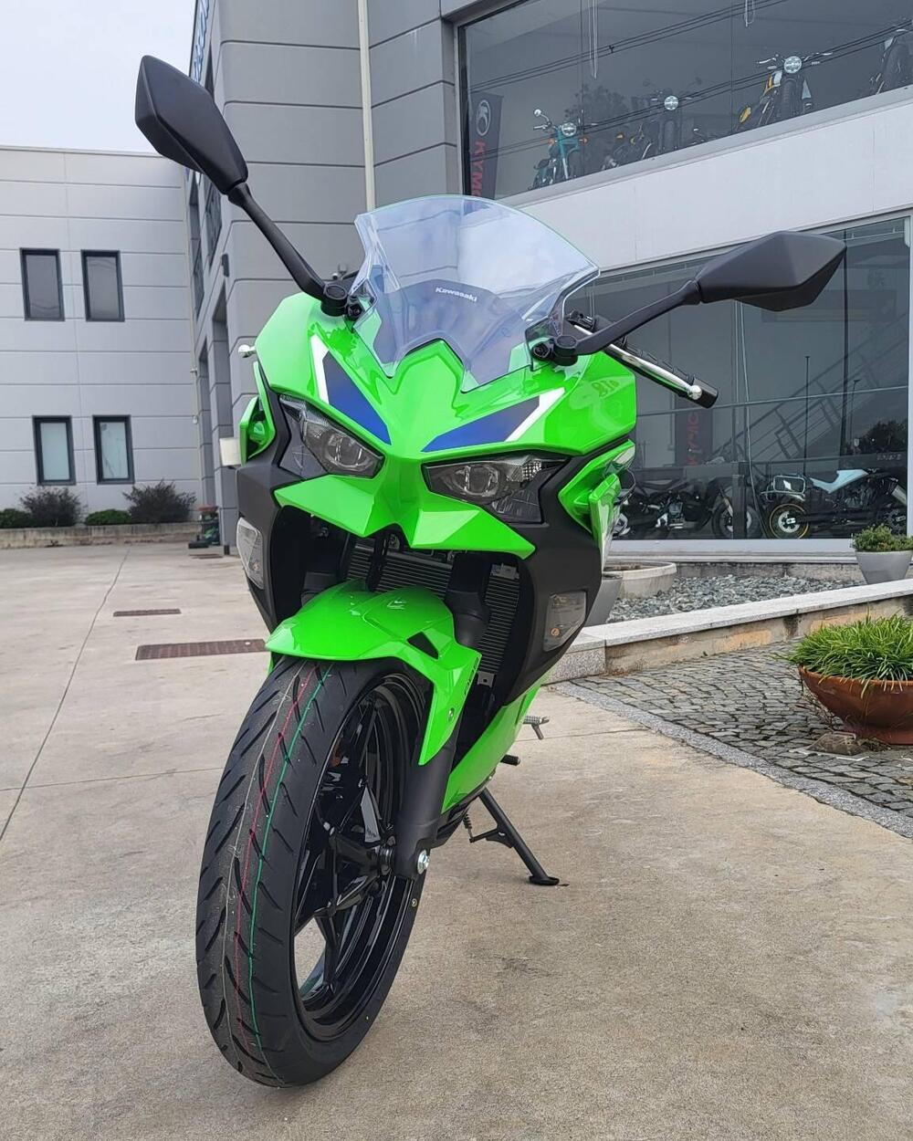 Kawasaki Ninja 500 SE (2024 - 26) (4)