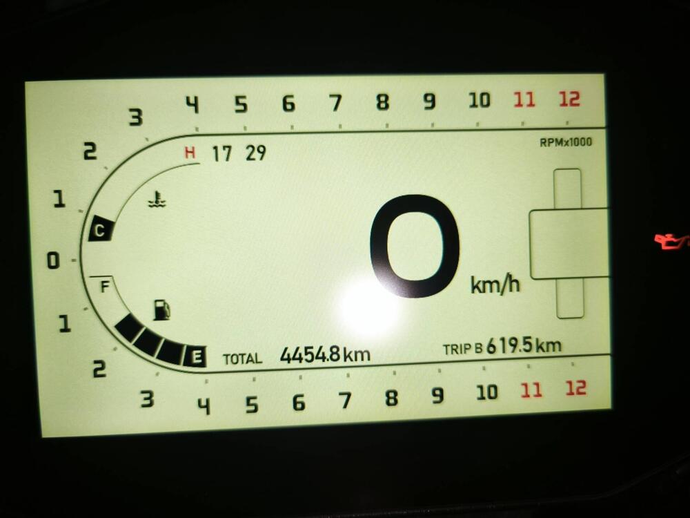 Benelli Leoncino 800 (2022 - 26) (5)