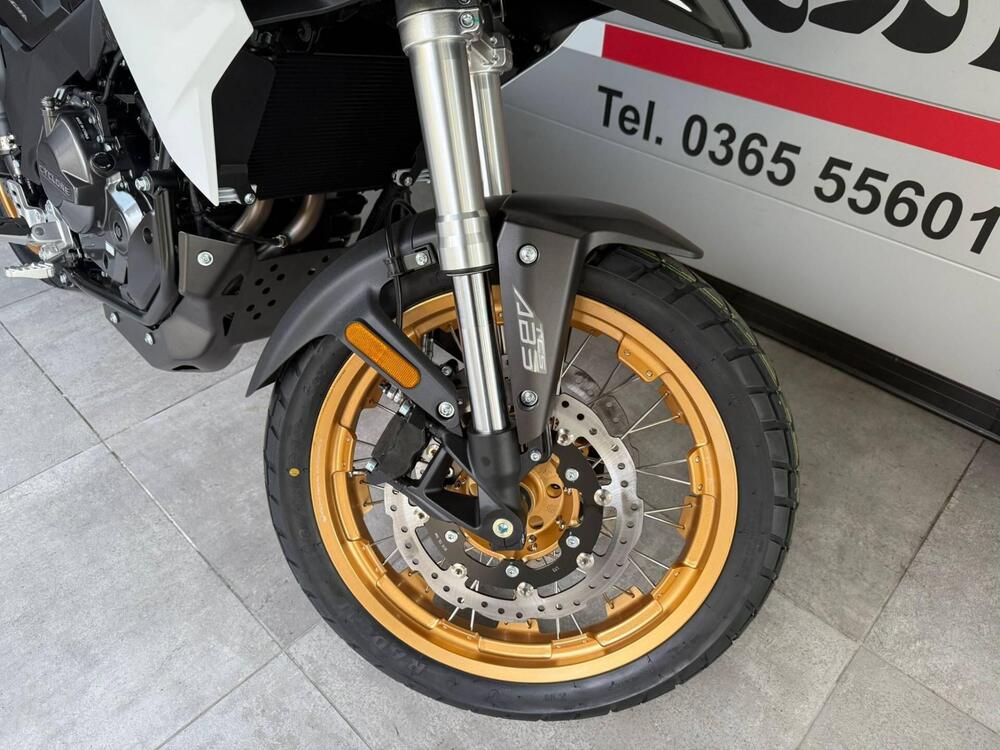 Cyclone RX600 (2025 - 26) (16)