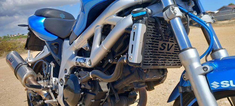 Suzuki SV 650 (1999 - 02) (8)