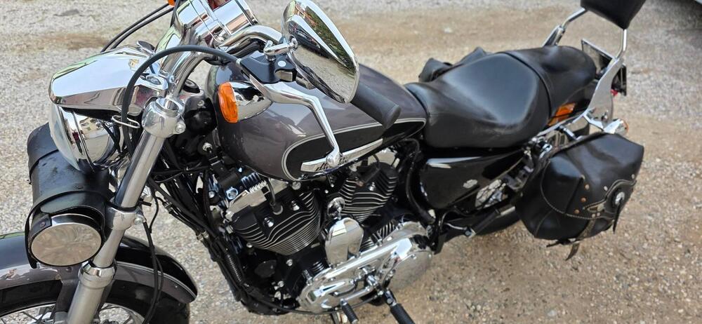 Harley-Davidson 1200 Custom ABS (2014 - 16) - XL 1200C (3)