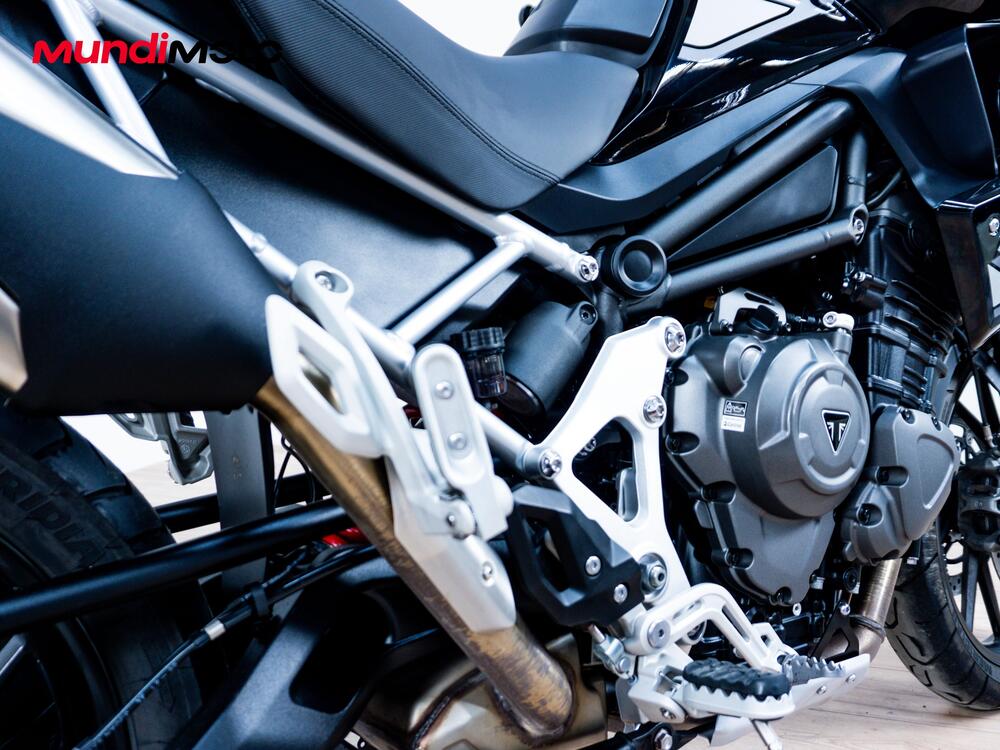 Triumph Tiger 1200 GT Pro (2024 - 25) (3)