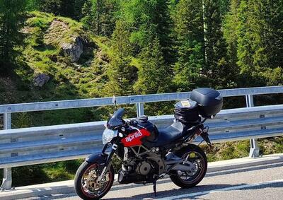 Aprilia Shiver (2008 - 10) usata