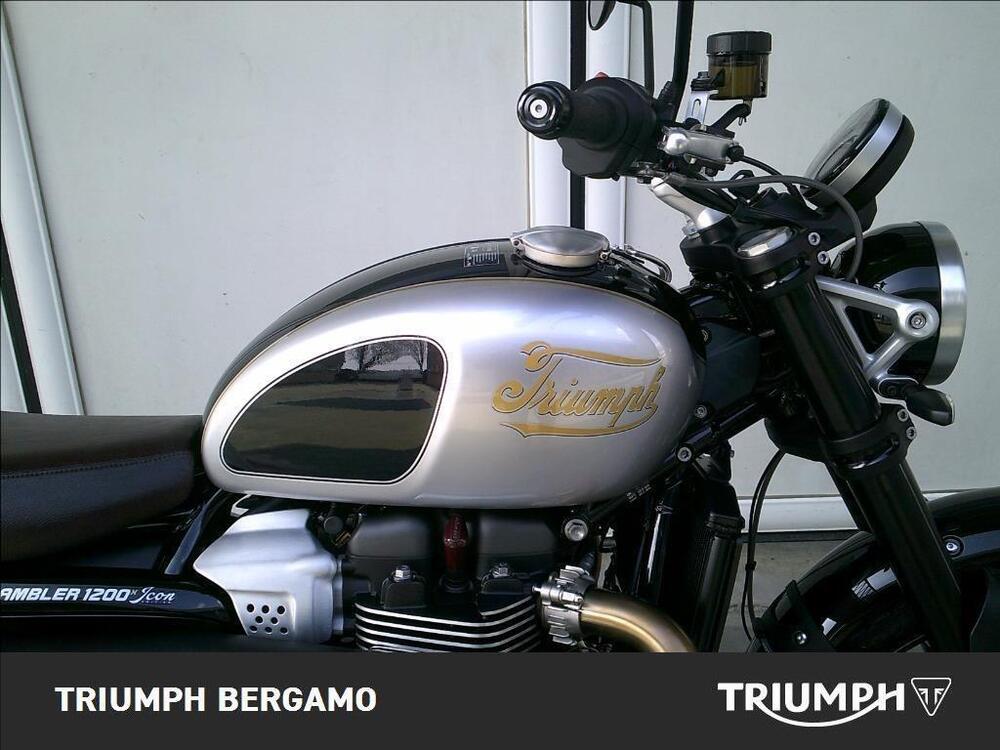 Triumph Scrambler 1200 X Icon Edition (2025 - 26) (2)