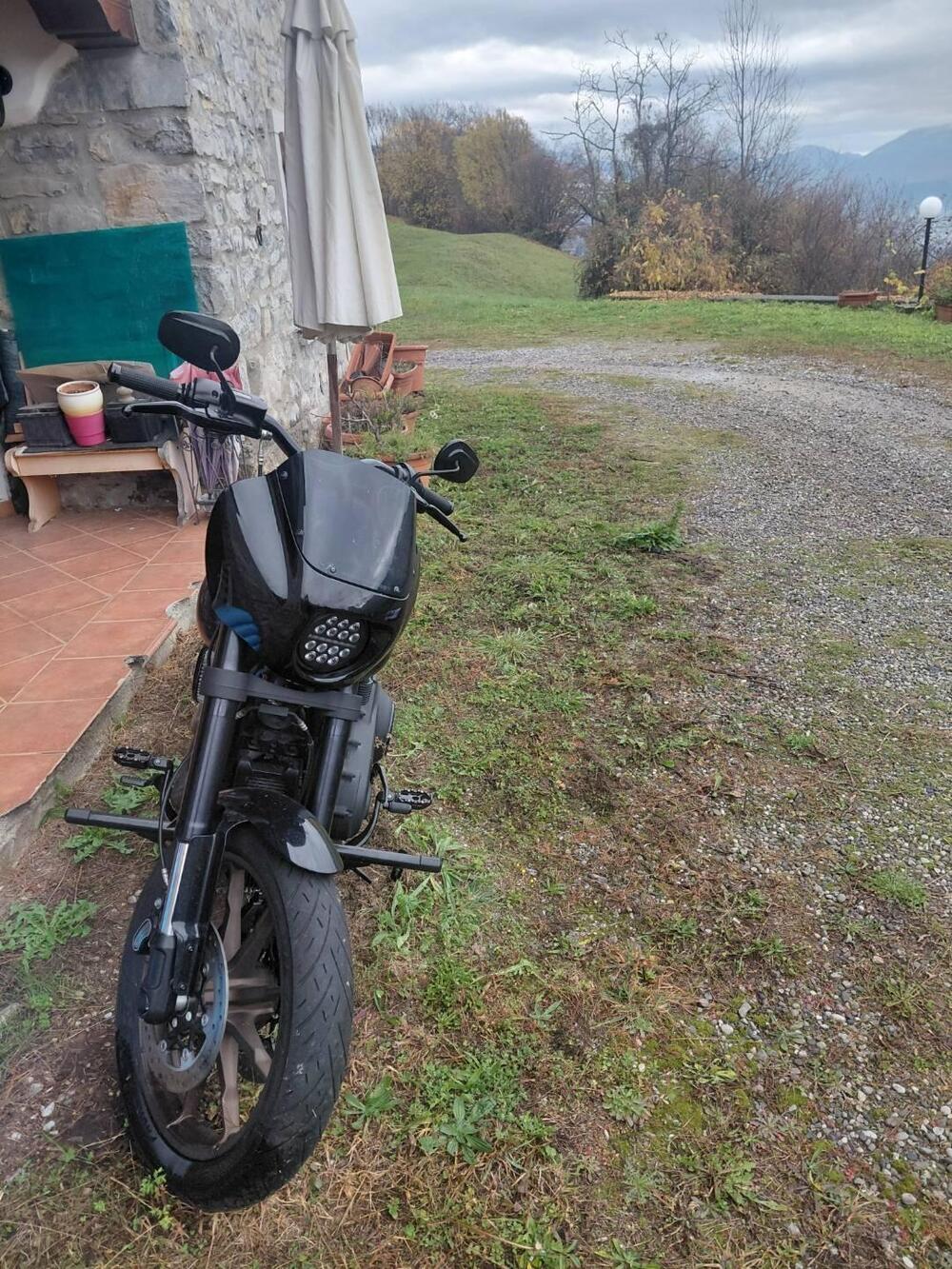 Harley-Davidson 114 Low Rider S (2020) - FXLRS (2)