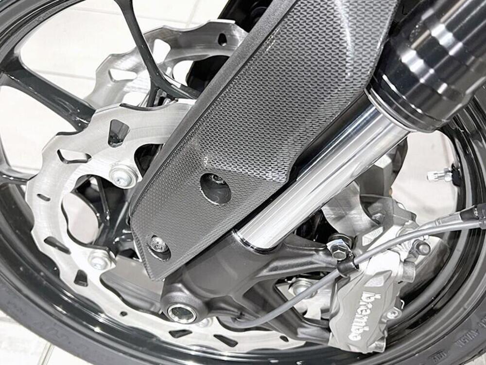 Indian FTR 1200 (2019 - 20) (4)