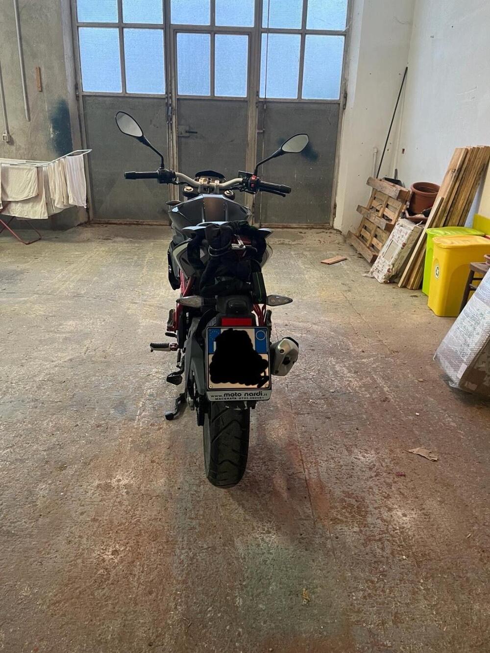 Benelli BN 125 (2018 - 20) (4)