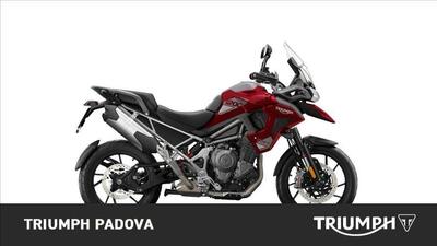 Triumph Tiger 1200 GT Pro (2024 - 25) nuova