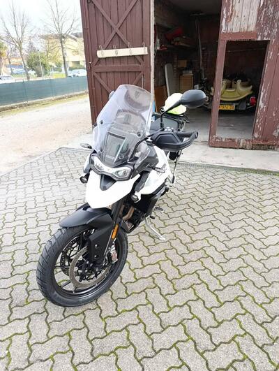 Triumph Tiger 900 GT Pro (2020 - 23) usata