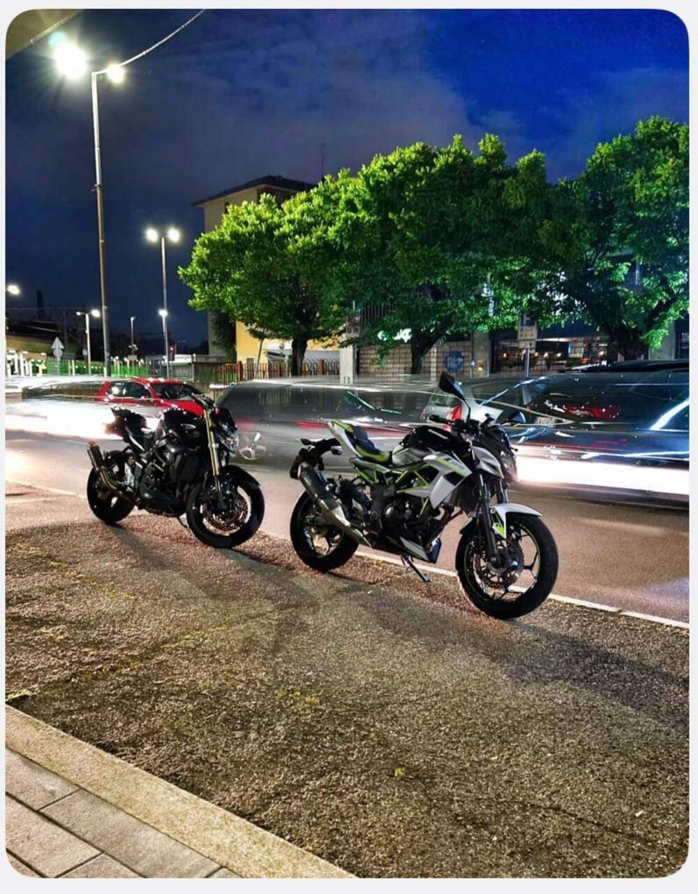 Kawasaki Z 125 (2019 - 20) (4)