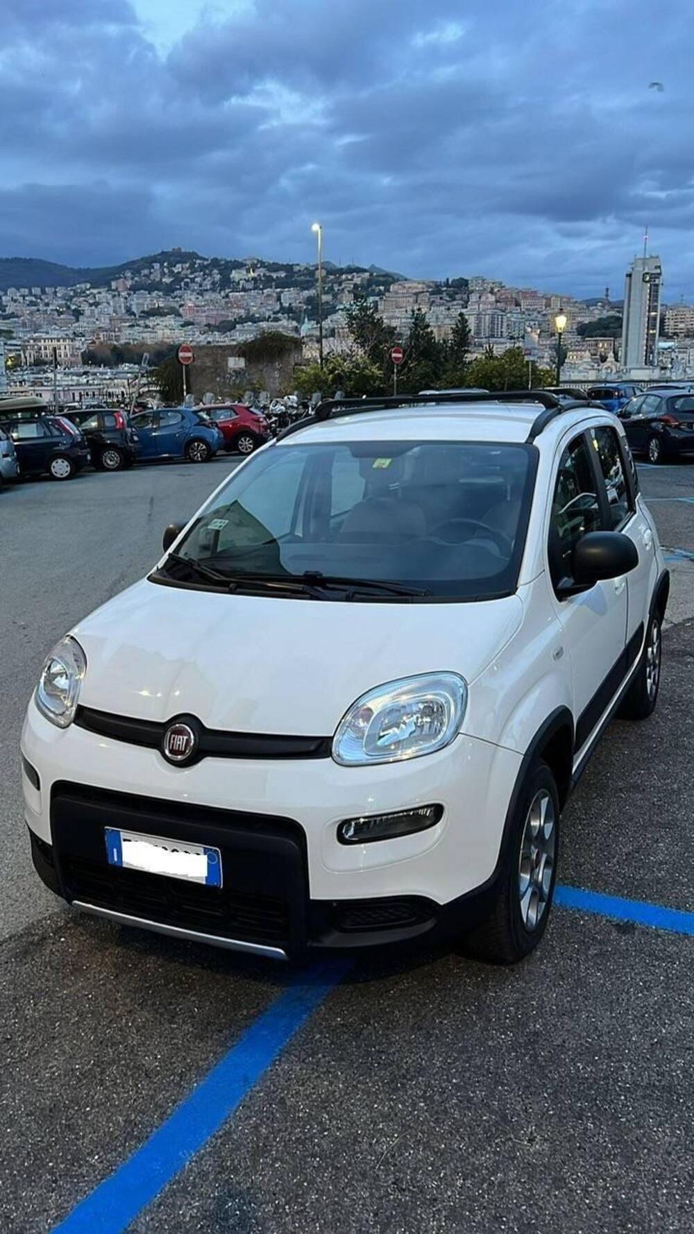 Fiat Panda usata a Genova