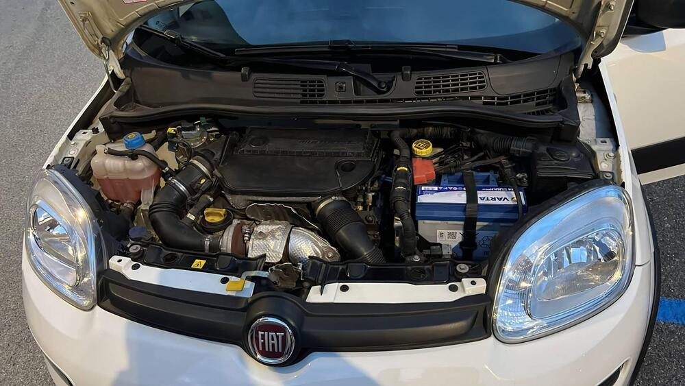 Fiat Panda usata a Genova (11)