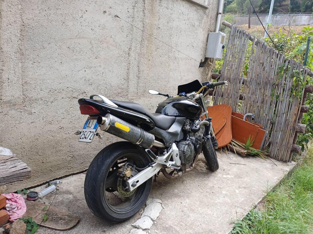 Honda Hornet 600 (1998 - 00) (2)