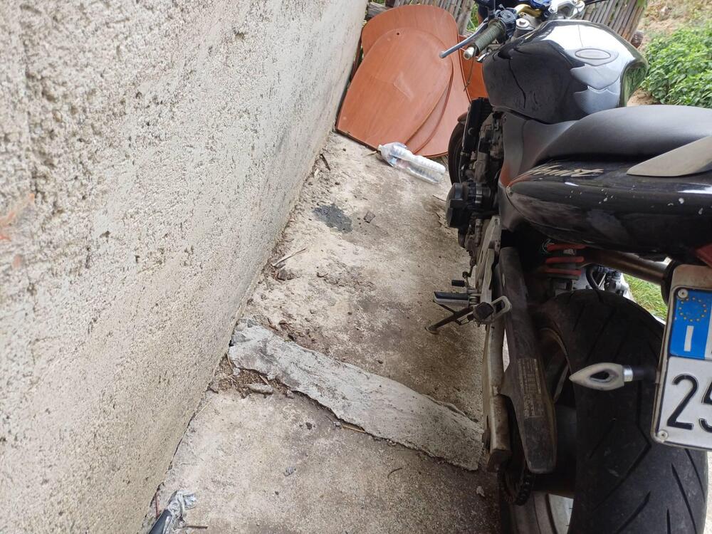 Honda Hornet 600 (1998 - 00) (3)