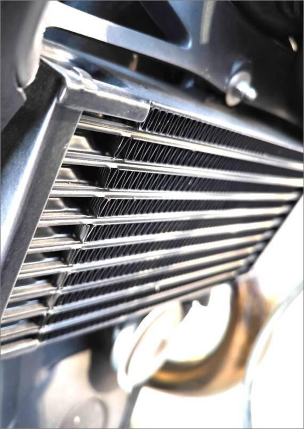 Moto Guzzi Sport 1200 (2006 - 08) (6)