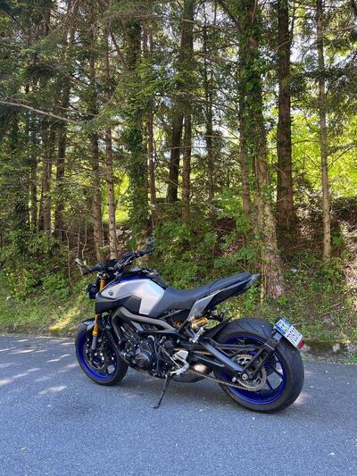 Yamaha MT-09 SP (2018 - 20) usata
