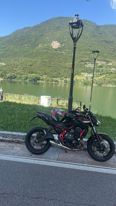 Kawasaki Z 650 (2025 - 26) usata