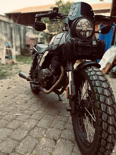 Brixton Motorcycles Felsberg 250 (2021 - 25) usata